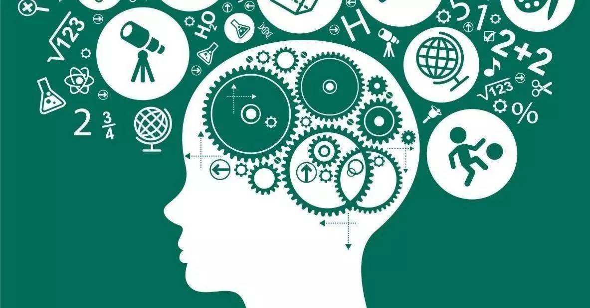 科學(xué)家發(fā)現(xiàn)大腦根據(jù)觀察進行學(xué)習(xí)的機制